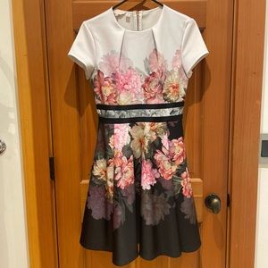 Ted baker skater dress